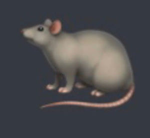 Meet your Posher, Flat